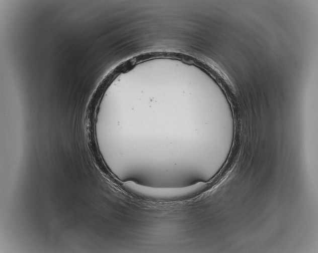 X0000115120926200911241344