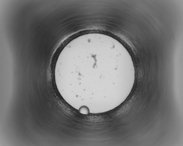 X0000115120927200911241344