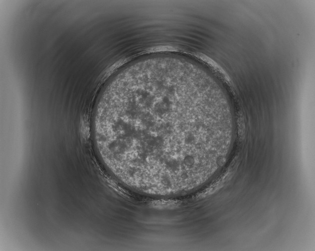 X0000115120929200911241344