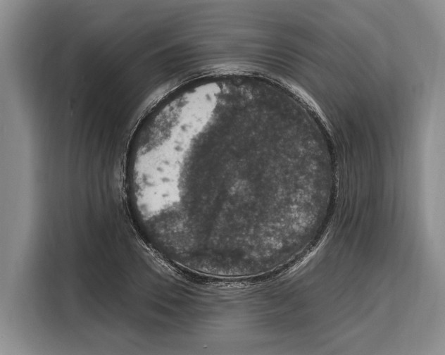 X0000115120930200911241344