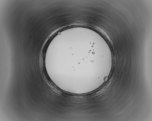 X0000115120931200911241344