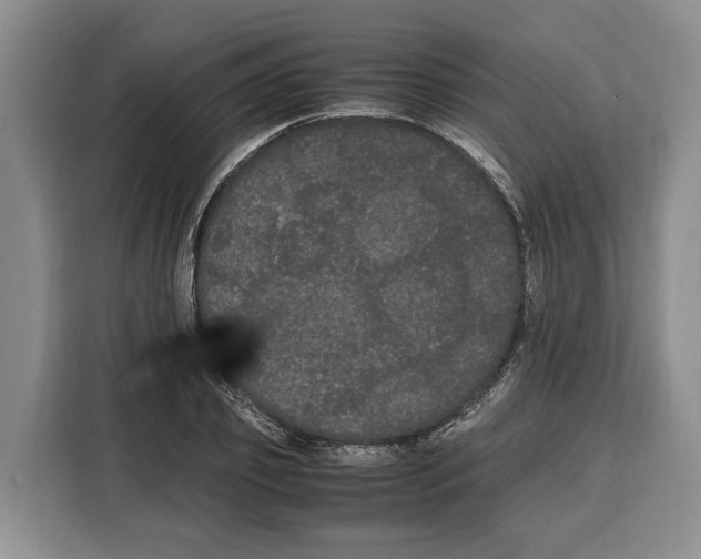 X0000115120933200911241344