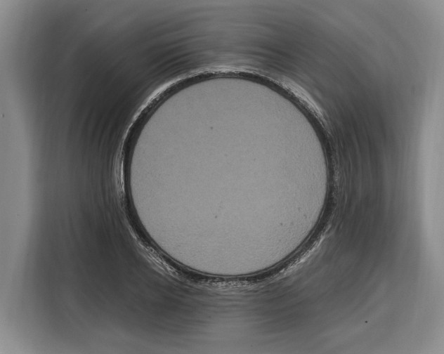 X0000115120934200911241344