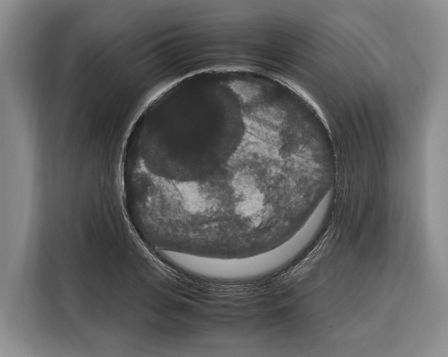 X0000115120935200911241344