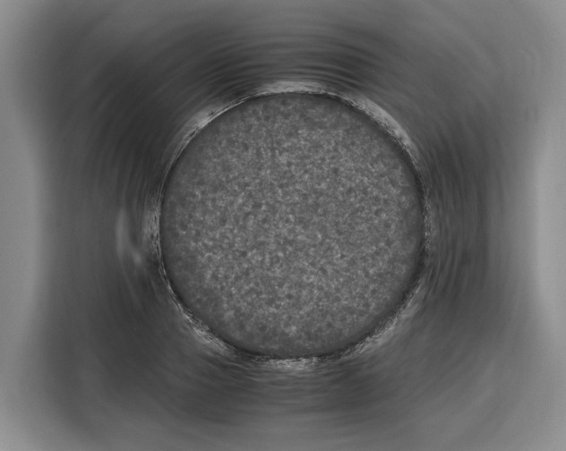 X0000115120937200911241344