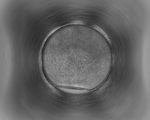 X0000115120939200911241344