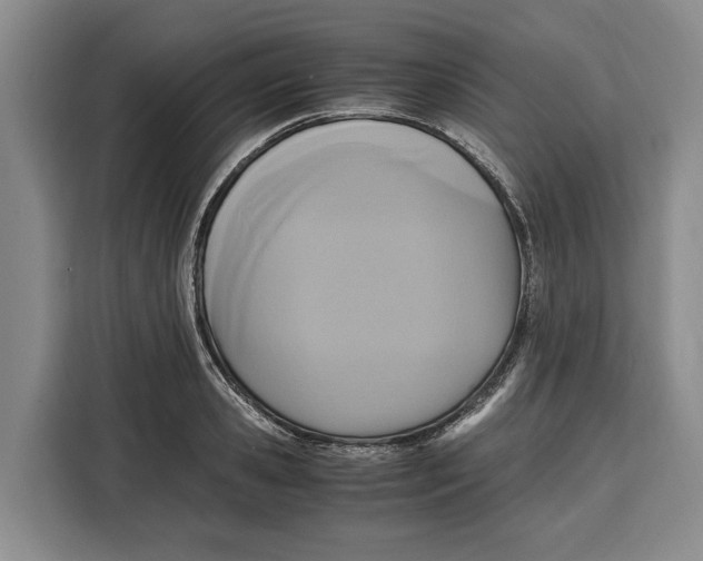 X0000115120941200911241344