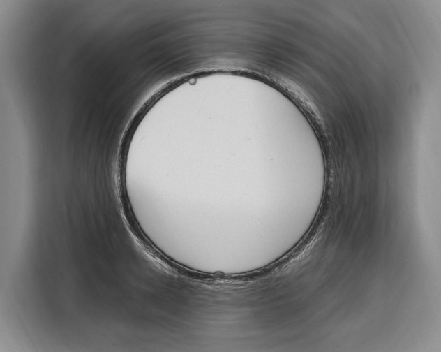 X0000115120942200911241344