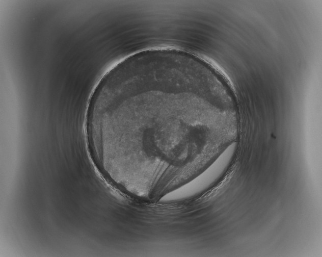 X0000115120943200911241344