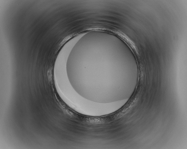 X0000115120945200911241344