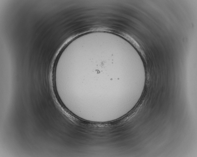 X0000115120947200911241344