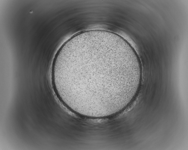 X0000115120949200911241344