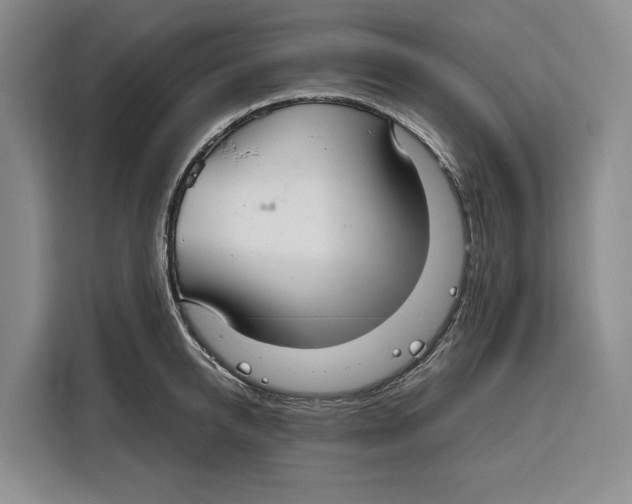 X0000115120950200911241344