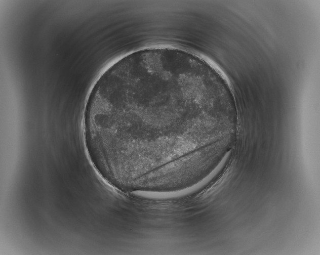 X0000115120951200911241344