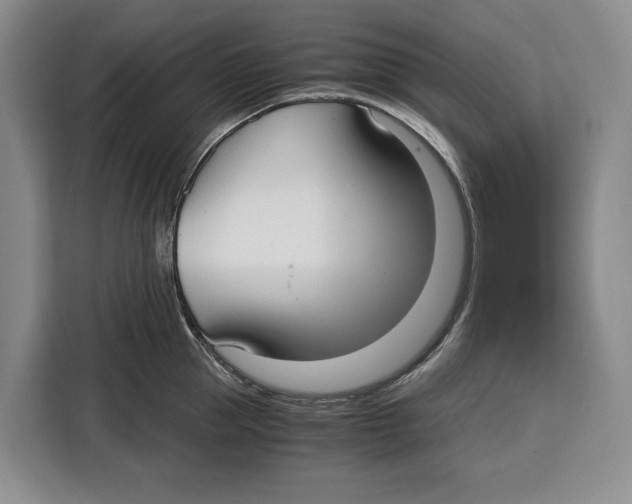 X0000115120953200911241344