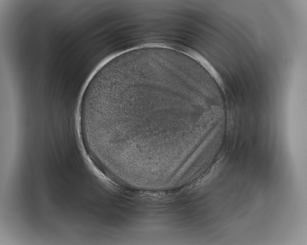 X0000115120955200911241344