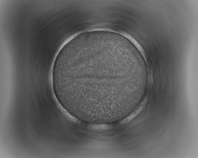 X0000115120957200911241345