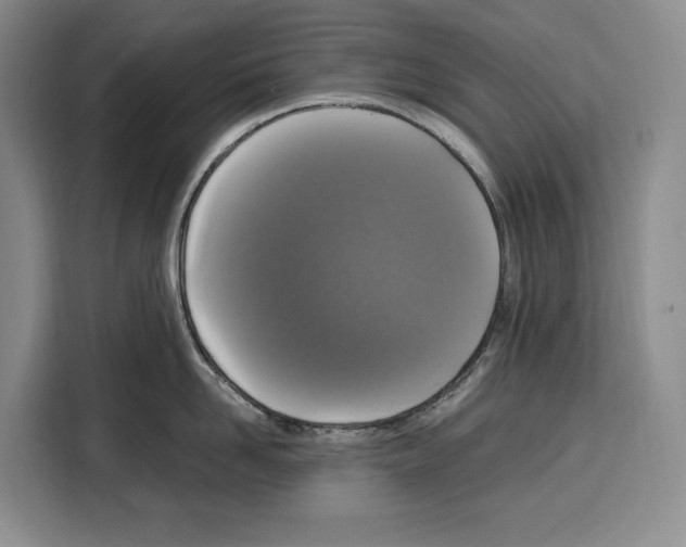 X0000115120958200911241345