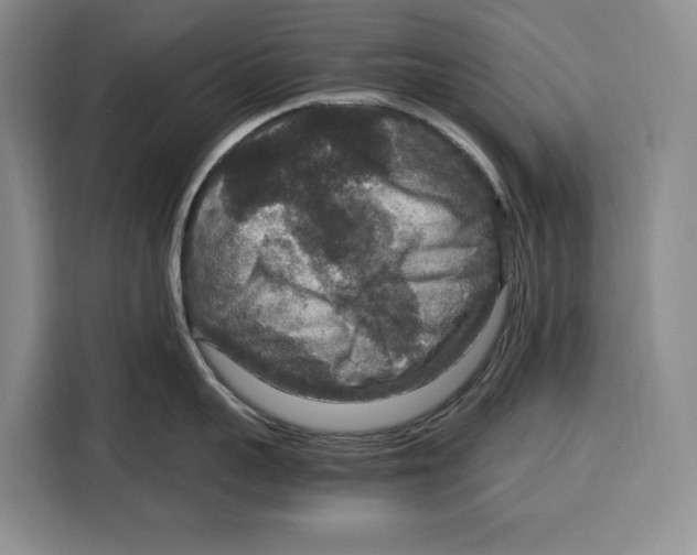 X0000115120959200911241345