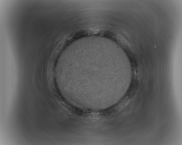 X0000115120961200911241344