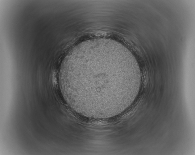 X0000115120962200911241344