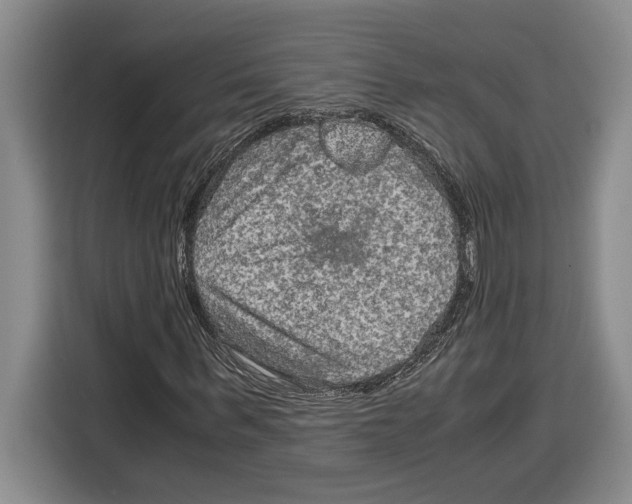 X0000115120963200911241344