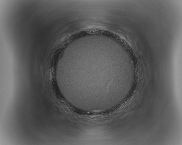 X0000115120965200911241344