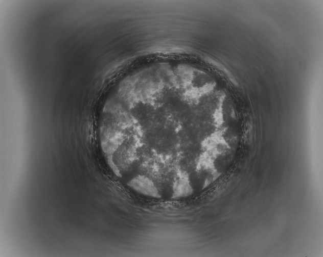 X0000115120966200911241344