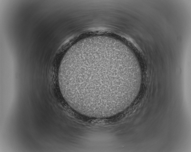 X0000115120967200911241344