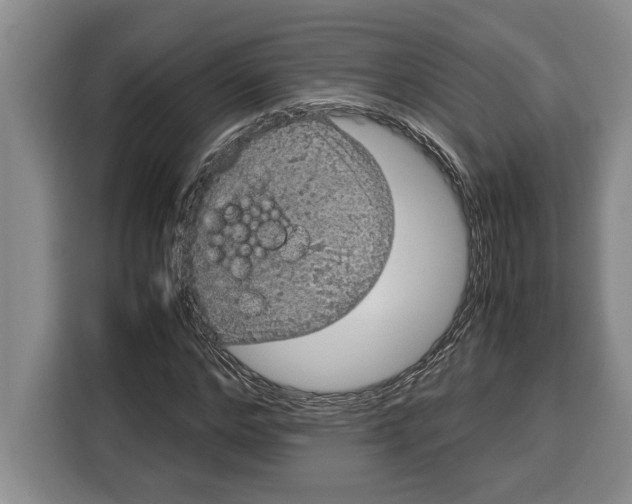 X0000115120968200911241344