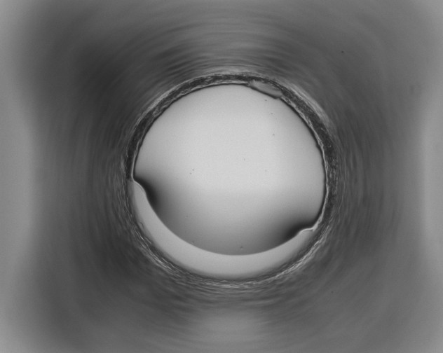 X0000115120969200911241344