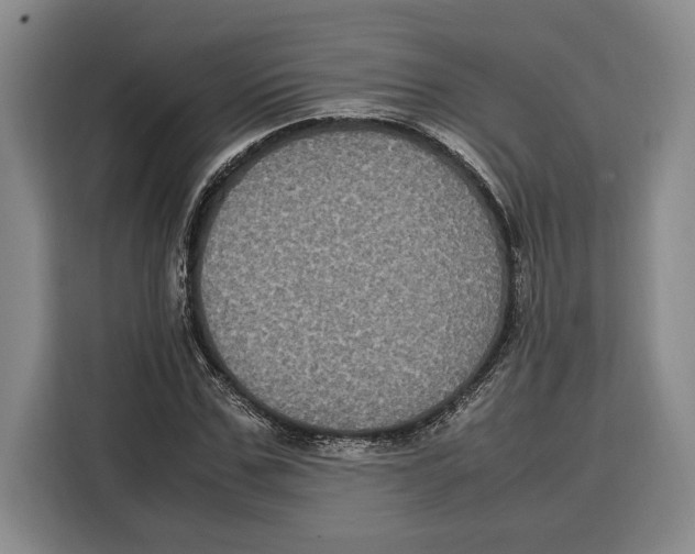 X0000115120971200911241344