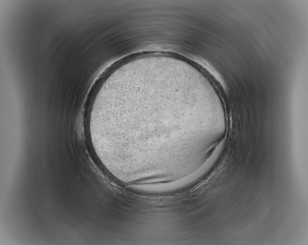 X0000115120972200911241344