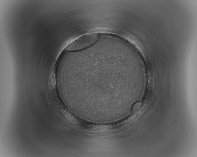 X0000115120973200911241344