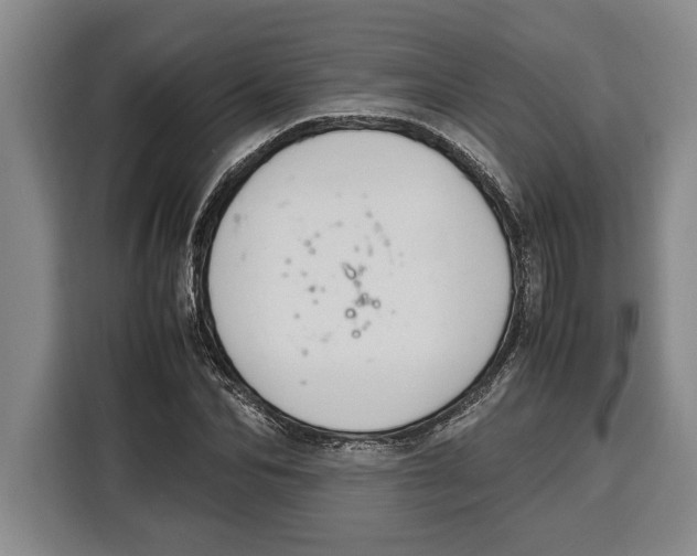 X0000115120974200911241344