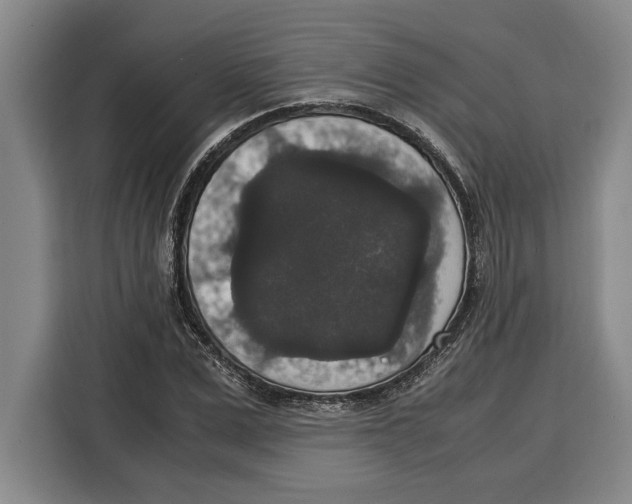 X0000115120975200911241344