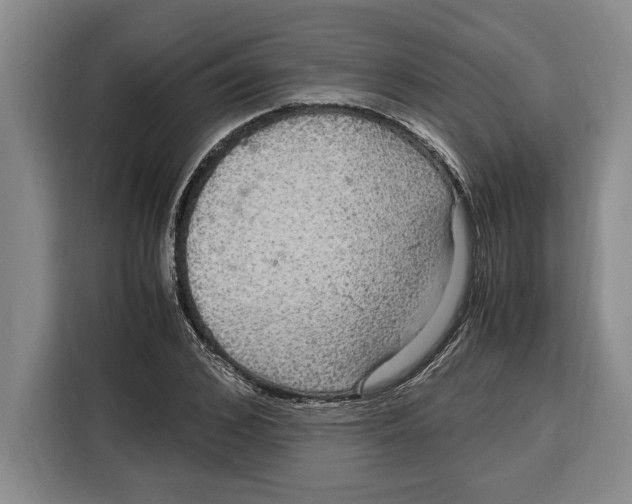 X0000115120976200911241344