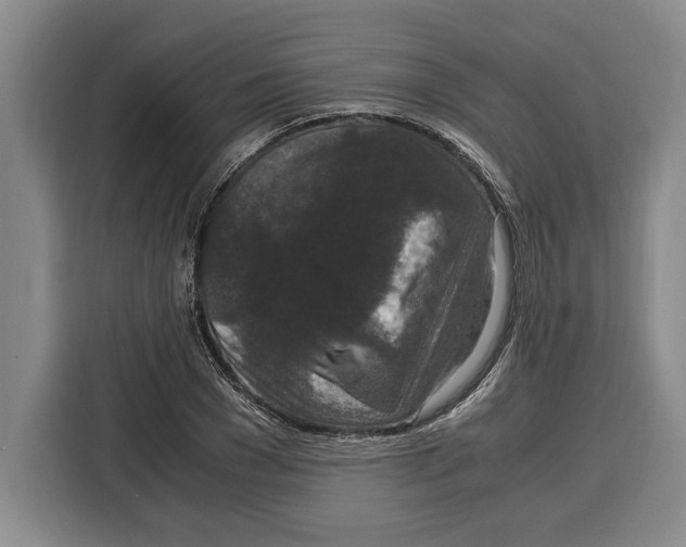 X0000115120977200911241344