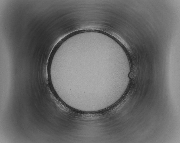 X0000115120980200911241344