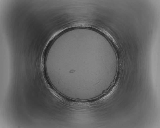 X0000115120981200911241344