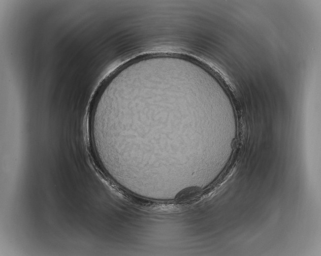 X0000115120982200911241344