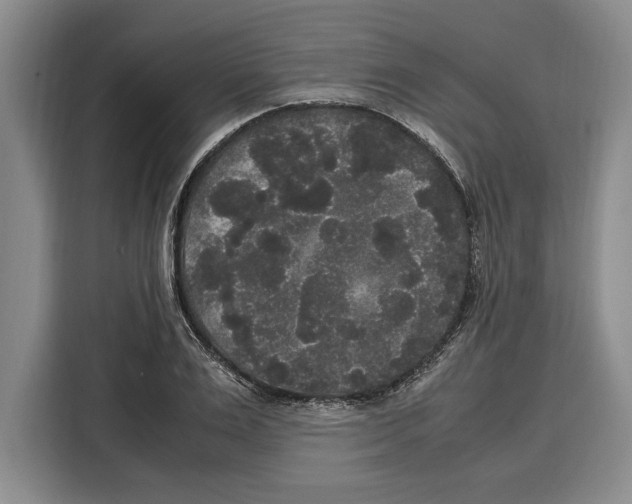 X0000115120983200911241344