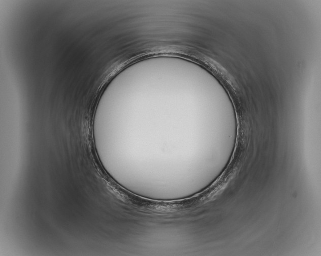 X0000115120985200911241344