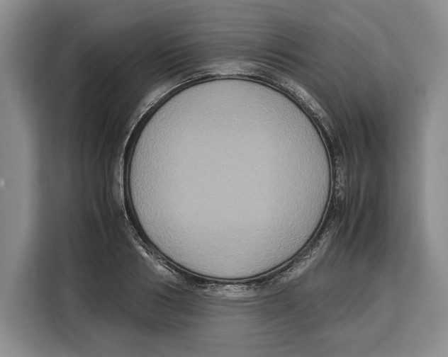 X0000115120986200911241344