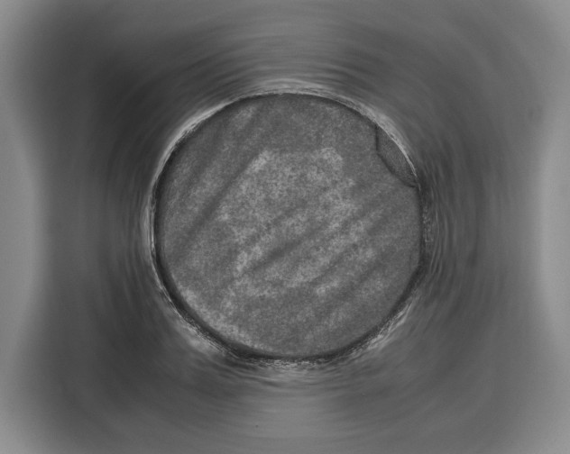 X0000115120987200911241344