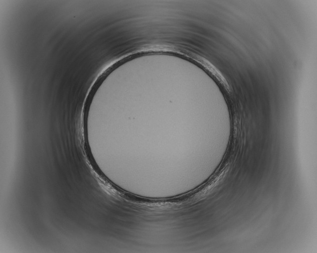 X0000115120988200911241344