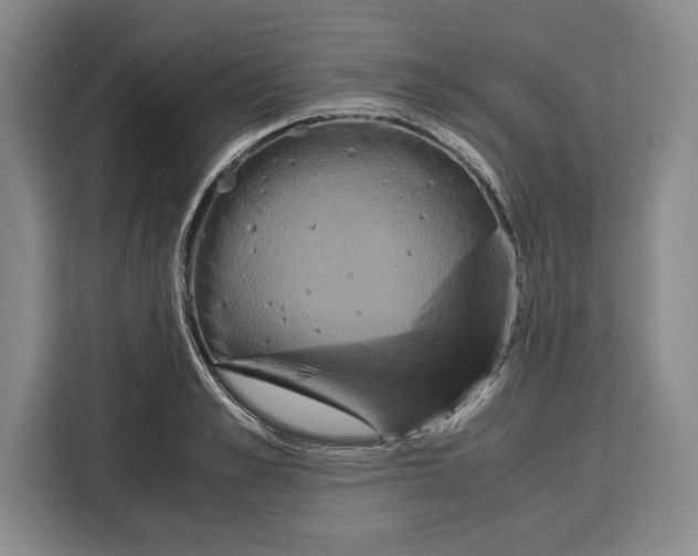 X0000115120989200911241344