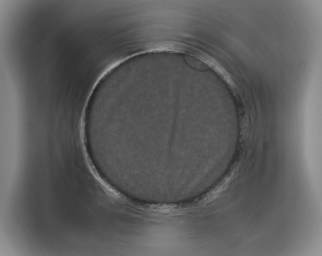 X0000115120991200911241344