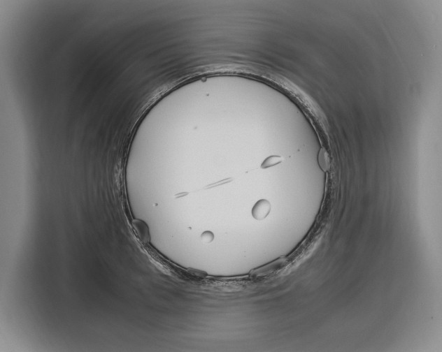 X0000115120993200911241344