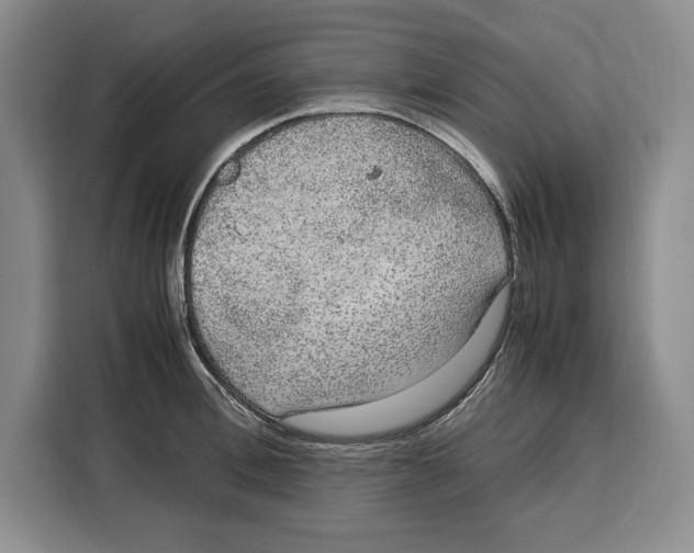 X0000115120996200911241343